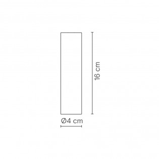 Ceiling Flush Light Rose 16
