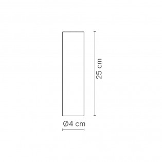Ceiling Flush Light Rose 25