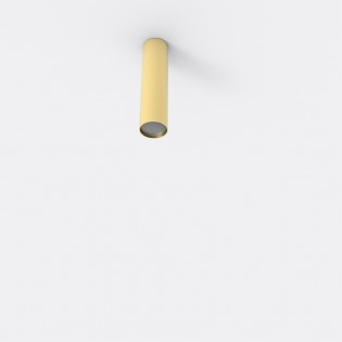Ceiling Flush Light Rose 16