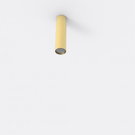 Ceiling Flush Light Rose 16