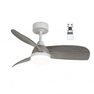 LED Ceiling Fan Borse...