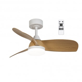 LED Ceiling Fan Borse...