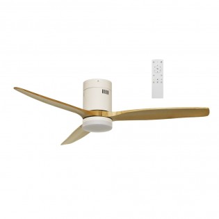 LED Ceiling Fan Won...