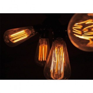 Light Bulb Edison 1910