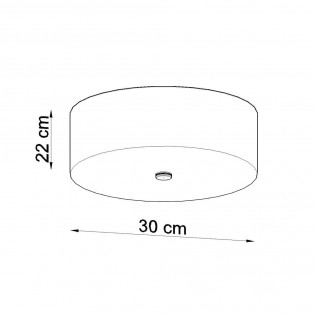 Ceiling Flush Light Skala