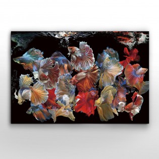 Photo frame Peces Siam