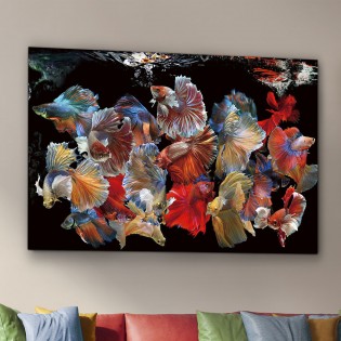 Photo frame Peces Siam