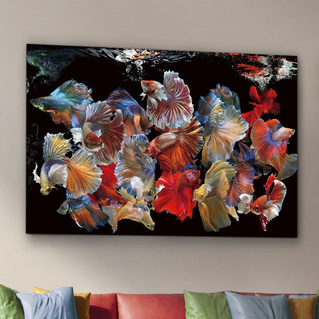 Photo frame Peces Siam