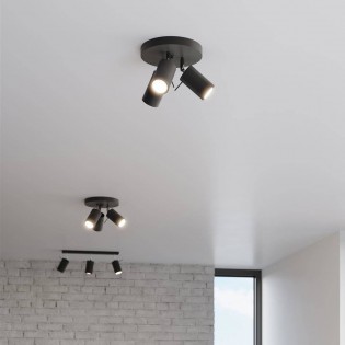 Ceiling Flush Light Ring III (3 lights)
