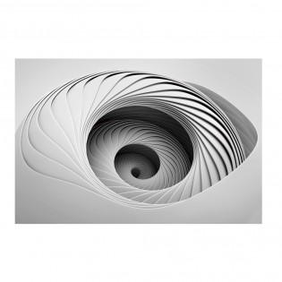 Print photography Morphia
