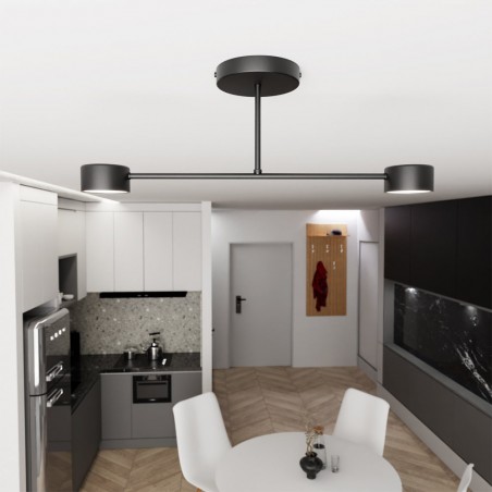 Plafón de techo Tanfa Negro (2 luces)
