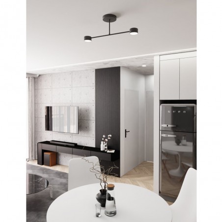 Plafón de techo Tanfa Negro (2 luces)