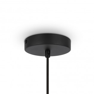 Pendant Lamp Roots