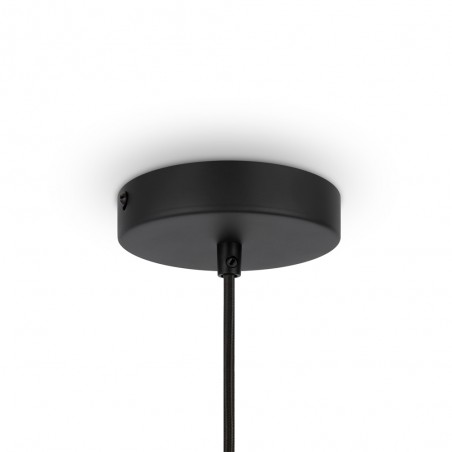 Pendant Lamp Roots