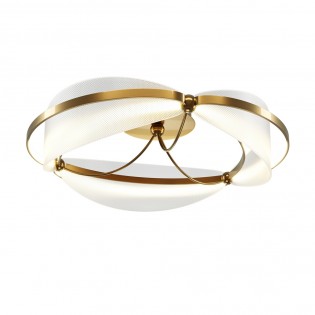 LED Ceiling Flush Light...