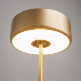 LED Rechargeable Table Lamp AI Collaboration Dim (3W)