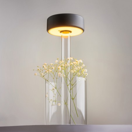 LED Rechargeable Table Lamp AI Collaboration II Dim (3W)