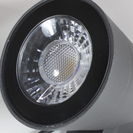 LED-Außenstrahler mit Kat-Picket (12W)