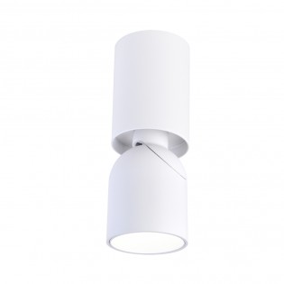 Adjustable ceiling LED spotlight Skadi (8W)