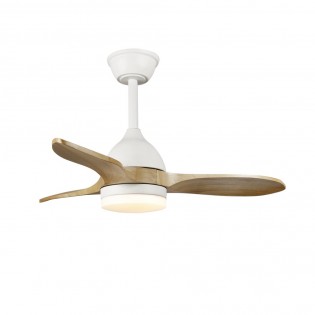 Ventilador de techo LED Tasme CCT Dim (20W)