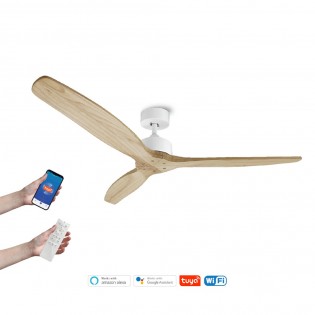 Ceiling Fan Nerona Smart
