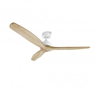 Ceiling Fan Nerona Smart