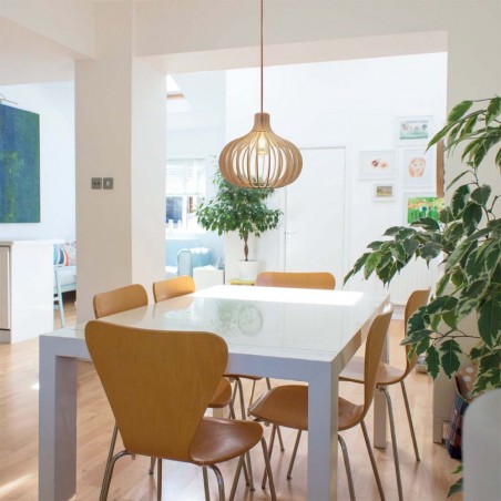 Ceiling lamp Ficus