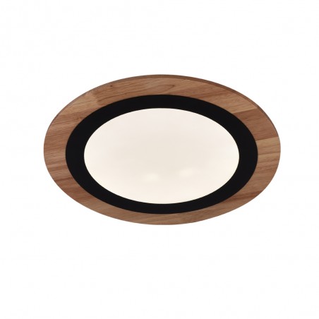 LED Ceiling Flush Light Hasbi CCT Smart (24W)