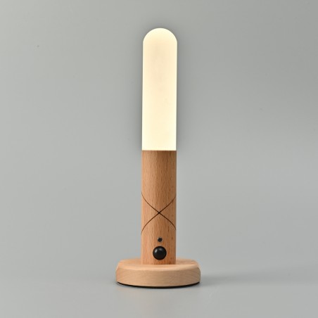 Portable LED lamp with sensor Rod (1W)