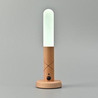 Portable LED lamp with sensor Rod (1W)