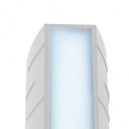 Outdoor LED Wall Lamp Morgan (8W+2x1W)