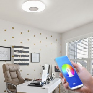 LED Ceiling Flush Light with Speaker Smart Round (36W)