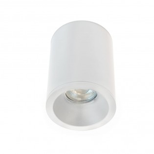 Outdoor Surface Ceiling...