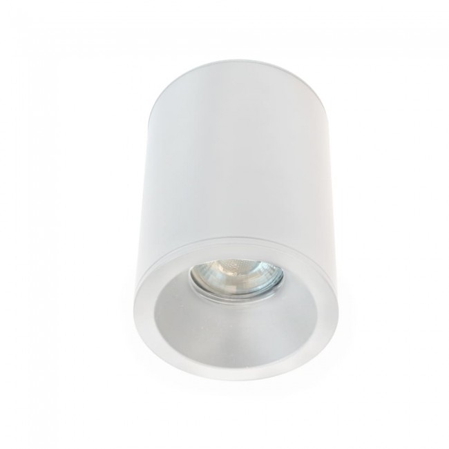Outdoor Surface Ceiling Flush Light Fred