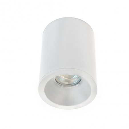 Outdoor Surface Ceiling Flush Light Fred