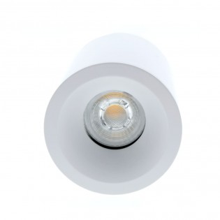 Outdoor Surface Ceiling Flush Light Fred