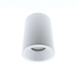 Outdoor Surface Ceiling Flush Light Fred