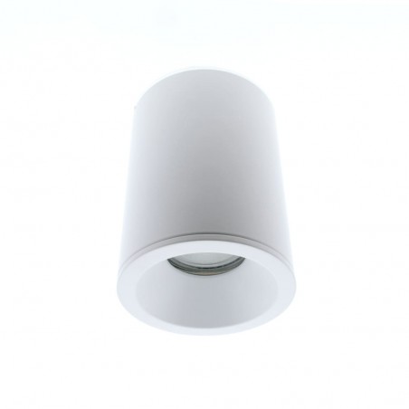 Outdoor Surface Ceiling Flush Light Fred