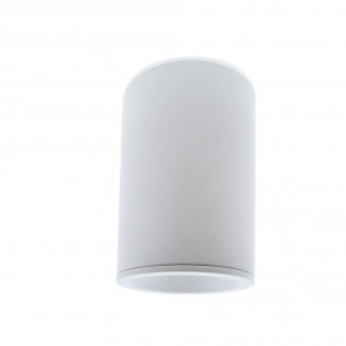 Outdoor Surface Ceiling Flush Light Fred