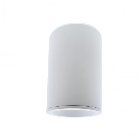 Outdoor Surface Ceiling Flush Light Fred