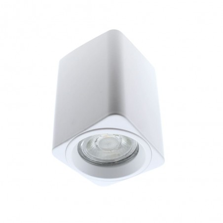 Surface Ceiling Spotlight Flin