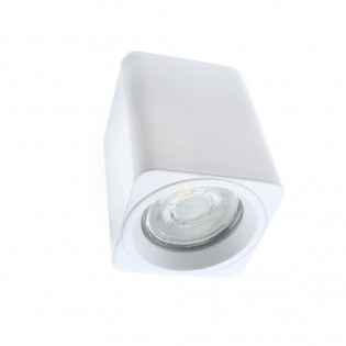 Surface Ceiling Spotlight Flin