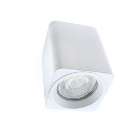 Surface Ceiling Spotlight Flin