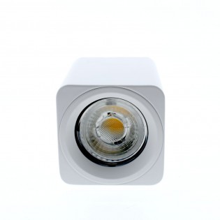 Foco de superficie Flin