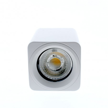 Surface Ceiling Spotlight Flin