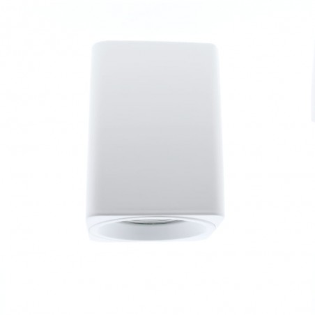 Surface Ceiling Spotlight Flin