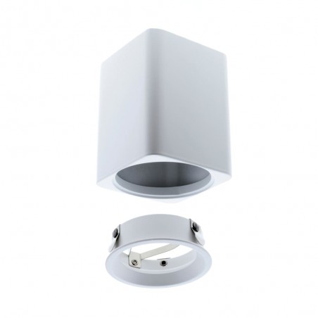 Surface Ceiling Spotlight Flin