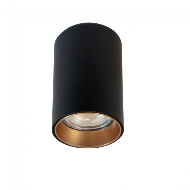 Surface Ceiling Spotlight Neil