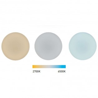 LED Ceiling Flush Light Sever Round Matte CCT Dim
