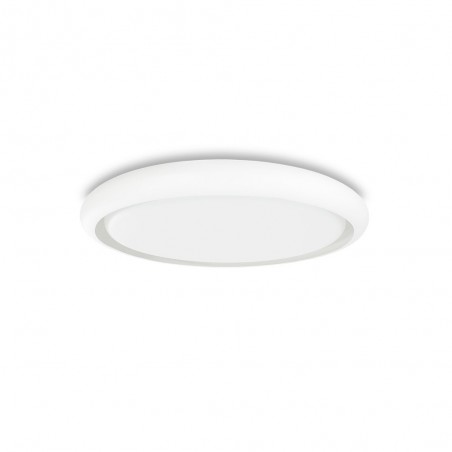 Flush light LED Bosa (36W)